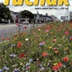 Časopis Tučňák 92021