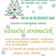 Fotosoutěž pro MŠ a ZŠ - vánoční stromeček z neživého materiálu