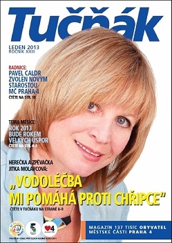 Časopis Tučňák - leden 2013