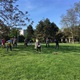 Začalo pro obyvatele městské části cvičení TIME out DOOR v parku Na Pankráci