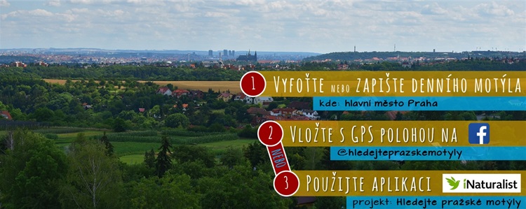 Hledejte pražské motýly, vyzývají odborníci veřejnost Hledejte pražské motýly, vyzývají odborníci veřejnost