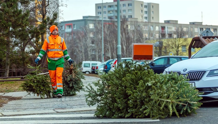 Stromečky noste po svátcích k venkovním popelnicím