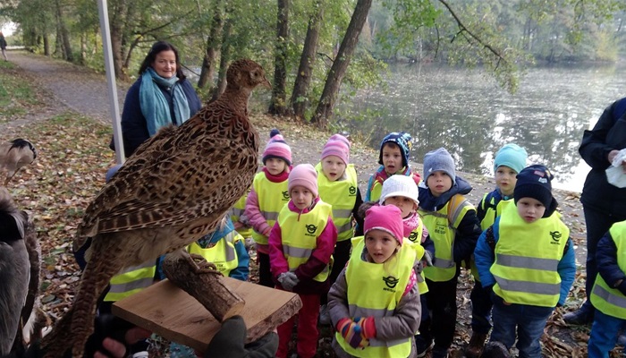 Za zvířátky do Krčského lesa vzaly školáky, předškoláky i rodiny s dětmi z naší městské části radnice Prahy 4 a Lesy hlavního města Prahy. Na celkem šesti stanovištích na břehu rybníka Labuť poznaly v úterý 26. října 2021 děti obyvatele lesů i rybníků a dalších vodních ploch.