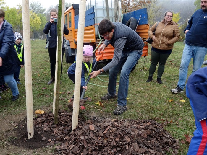 Pod Branickou skalou se 22. října 2019 uskutečnila tradiční akce - Den stromů. Až do 16 hodiny zde na příchozí čekaly čtyři stánky s informacemi o lesích v Praze. V rámci akce byly také vysazeny do parku dva vzrostlejší javory. Akci podpořil svou přítomností i radní pro životní prostředí Tomáš Hrdinka (ANO 2011).