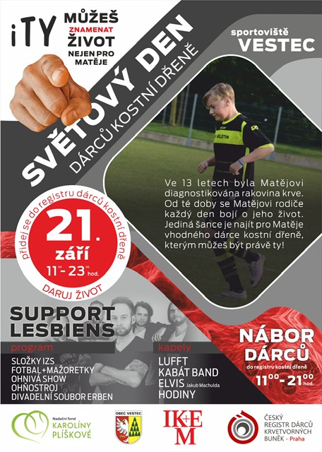 kostní dřeň kostní dřeň